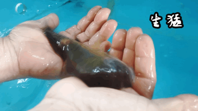 de927dac92acd6d3e25d80996c06ad1f.gif