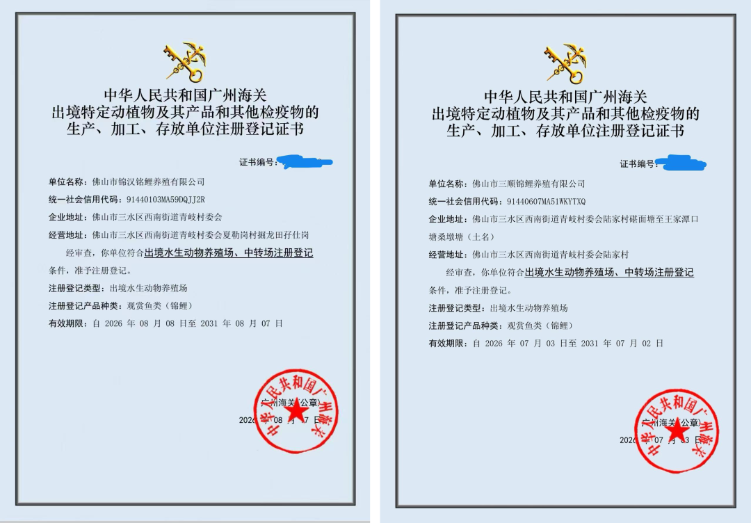 1ecec0222cf13a27512a69b7565ce284.png