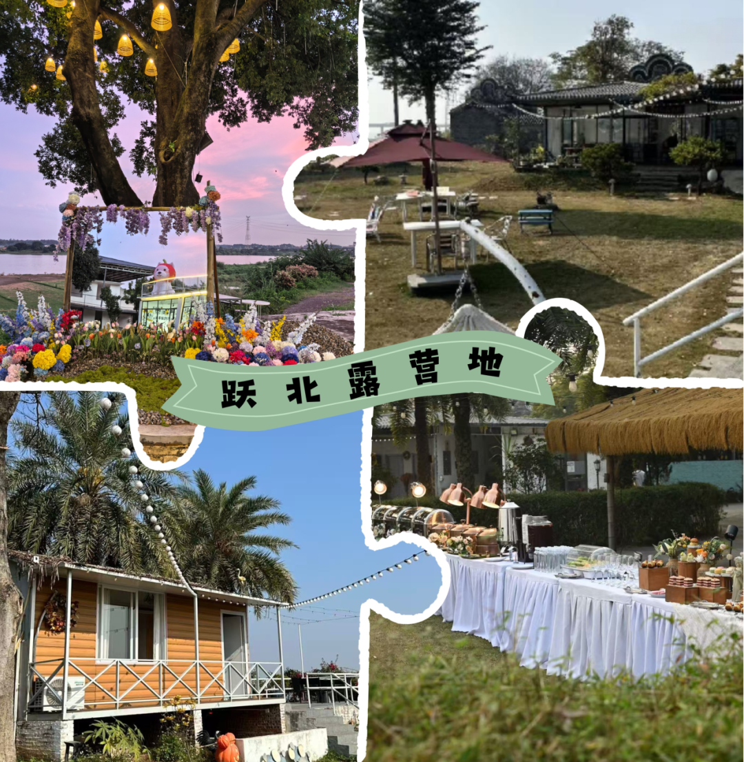 5aaf324ee051c92292f0fc4da386f86a.png