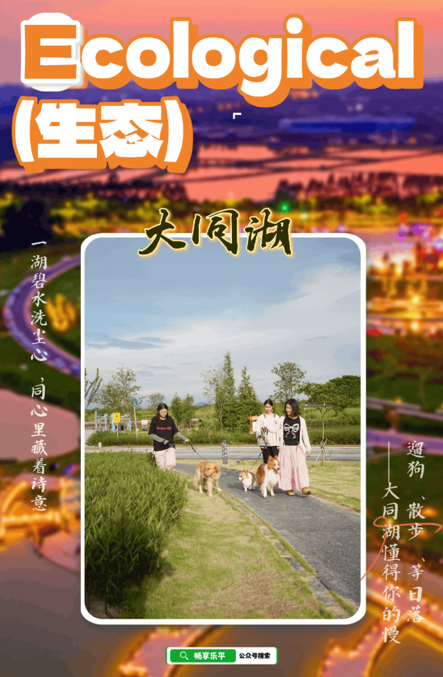 f25e1bab7785e1c75ca83d929ab6e38c.png