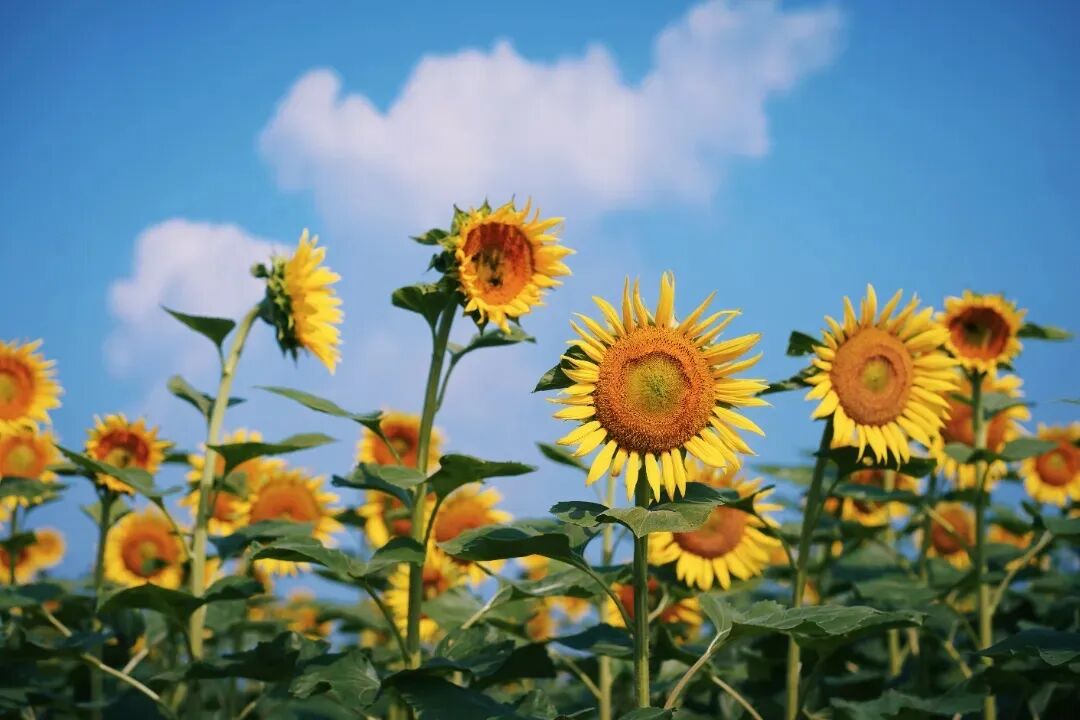 a78f24aa745aca9f6afa363e0cdf9a31.jpg