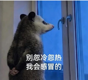 ab1cd2fc1686f9478ebb8c7393f7e0e4.png