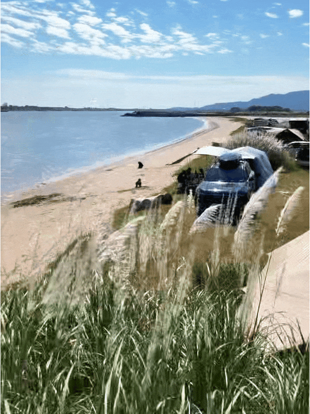 e1dfd284c02d840db50f47f983ba93ff.gif