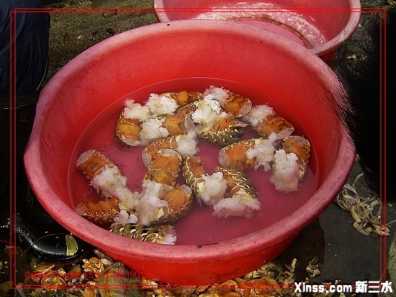 入伙050115-07.jpg