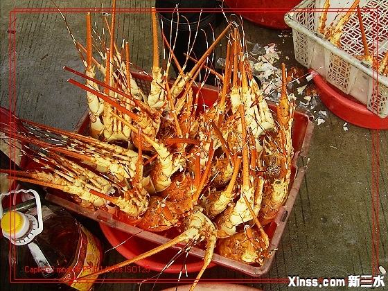 入伙050115-04.jpg
