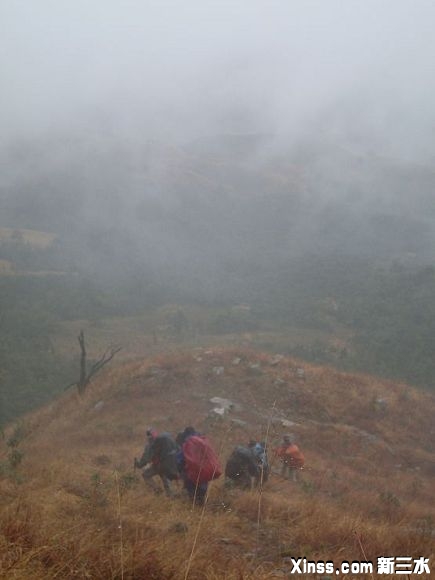 旋转 SDC11478(001).jpg