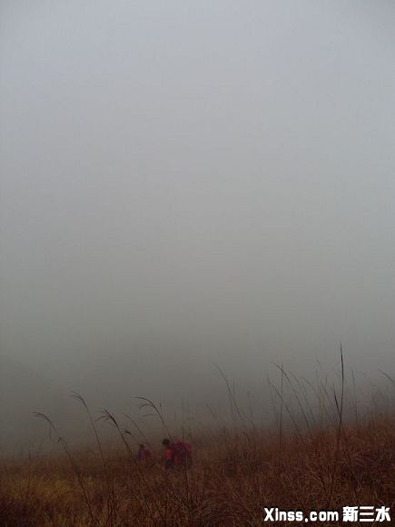 旋转 SDC11513(001).jpg