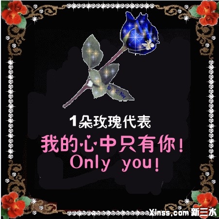 玫瑰.jpg