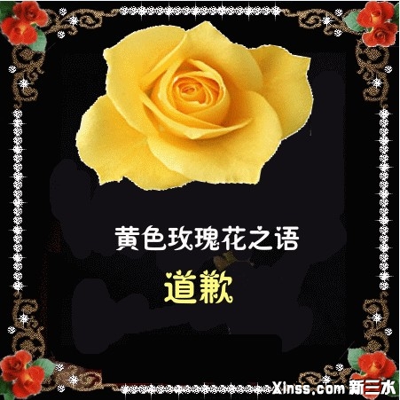 黄玫瑰.jpg