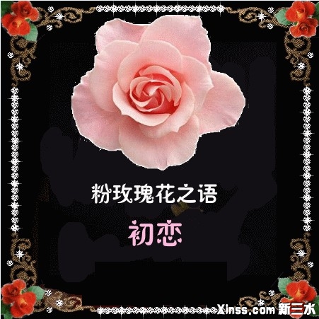 情人节.jpg