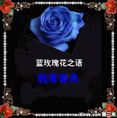 蓝玫瑰.jpg
