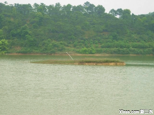 DSCN9175.JPG