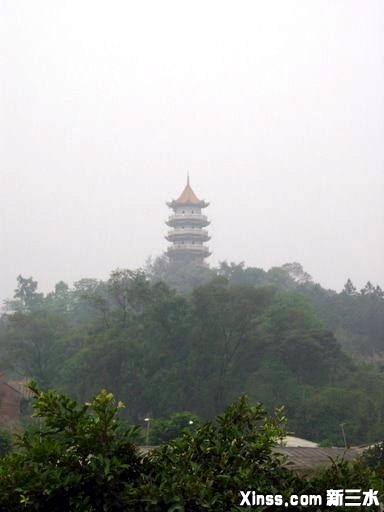 DSCN9105.JPG