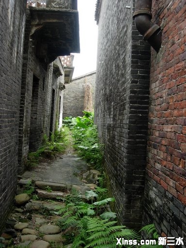 巷子12.JPG