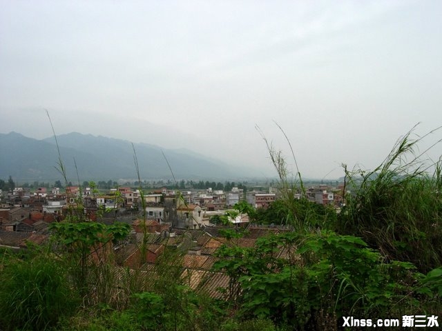 岗上远望3.JPG