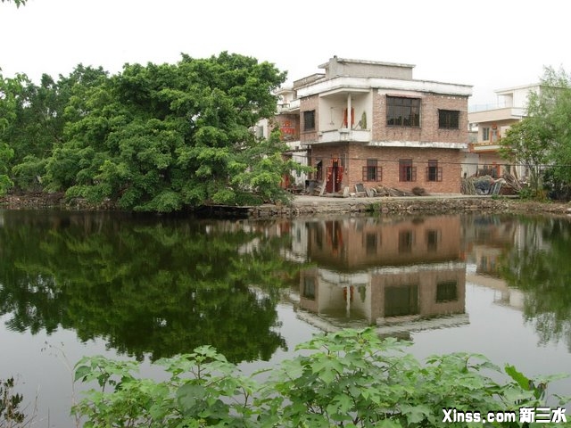 又一水塘.JPG