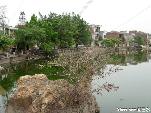 大水塘.JPG