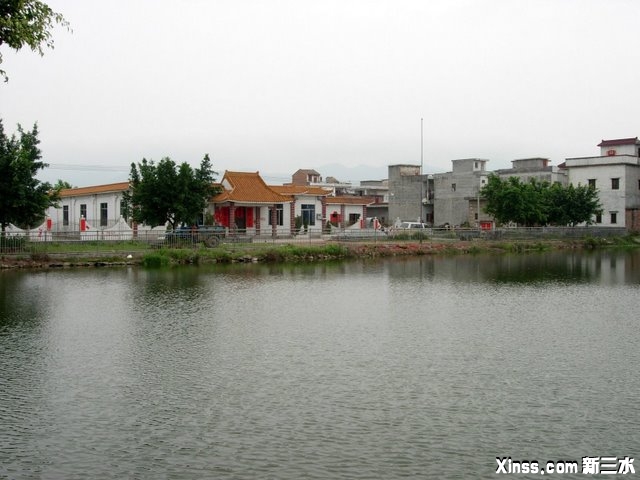 路边水塘.JPG
