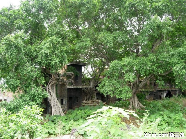 八卦村中心岗上.JPG