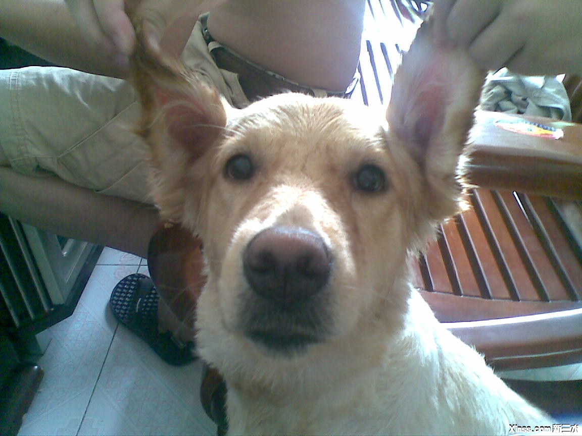 20090726(006).jpg