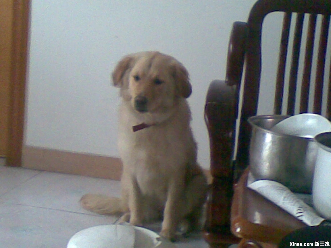 20090524(001).jpg