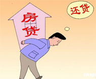 danshen6.jpg