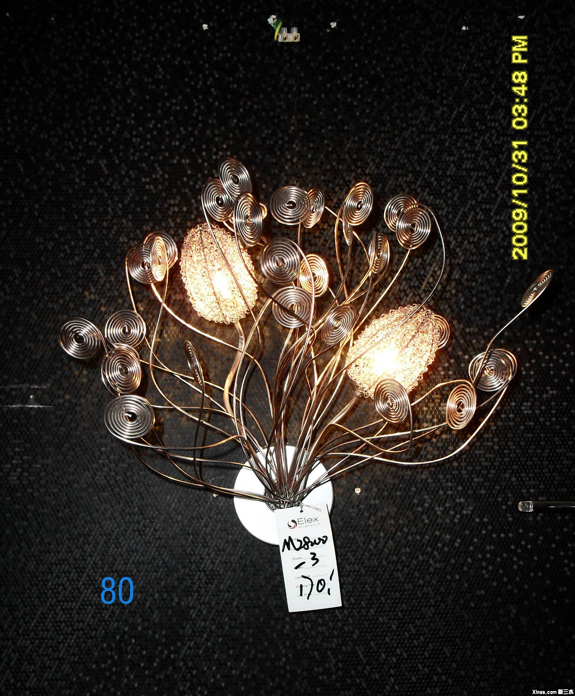SDC11100副本.jpg