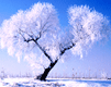 53434.gif