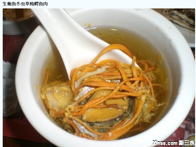 鳄鱼汤