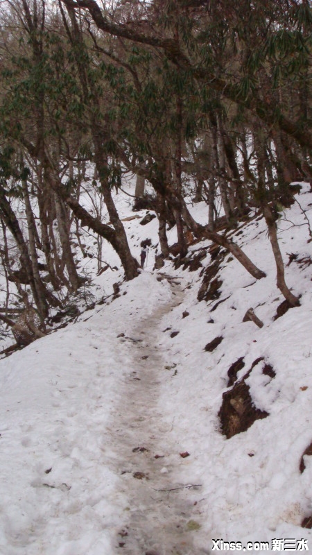 ѩźεڼӺ·Ļѩ·˵Ĳ̤Ӳ们ͨ˶Ь򻬣Ǹϸ ...