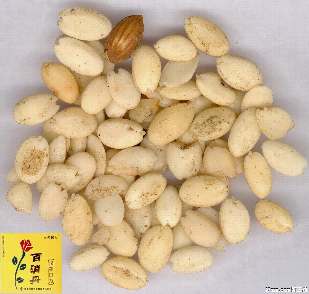 桃仁-1.jpg