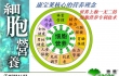 细胞营养