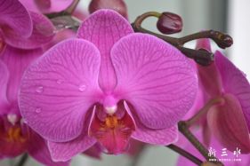 ɹɹ�ҼҵĻ����Է����ĵ��̻�