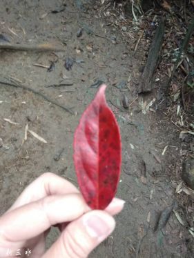 һҶ֪�����