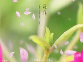 ����.��ϧ��ǰ��