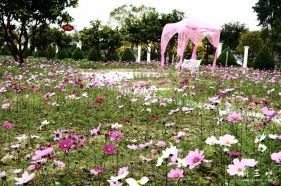 ������ӰȺ�ڶ����������������Ӱ�����