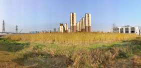 ���Խй��ӵ�����