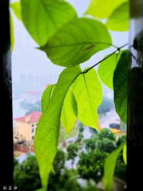 �������ˣ�