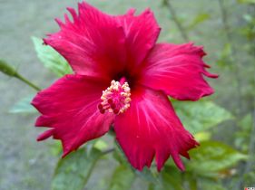 .........................