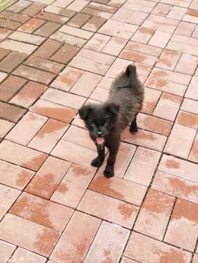 ���Եײ������