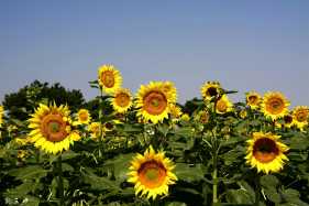 ����㡣��