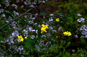 ոɾͷҷͼƬǲзɫǲеƫɫ