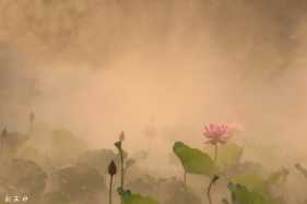 �����ĺɻ�