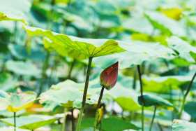 �󳤽���ȹ������ĺɻ�