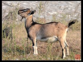 ��ˮ «�� ϲ����