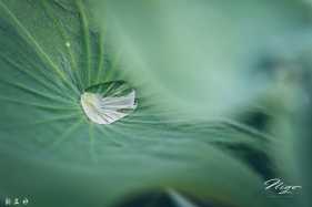 �ɻ�����