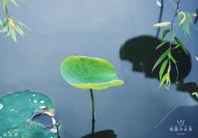 ��������û�ɻ�