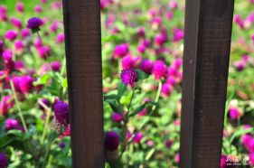 �ܾ�û������ˣ�ͻȻ��Ѫ������ȥ�ɻ�����ת��һȦ����ͼ��