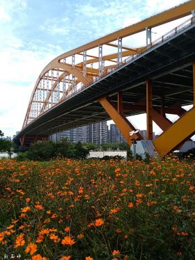 �����ٺ�ɫ