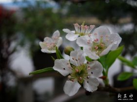 ..�����滨..